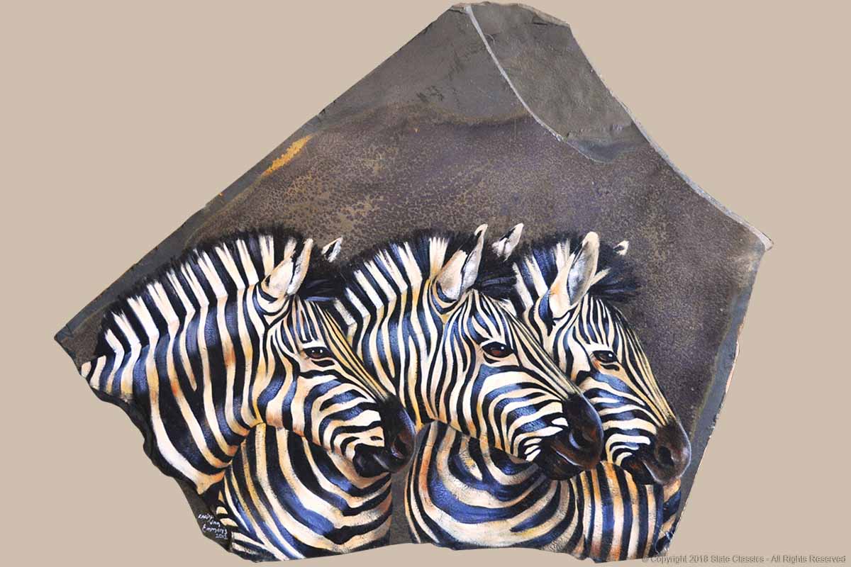 Three Zebra's