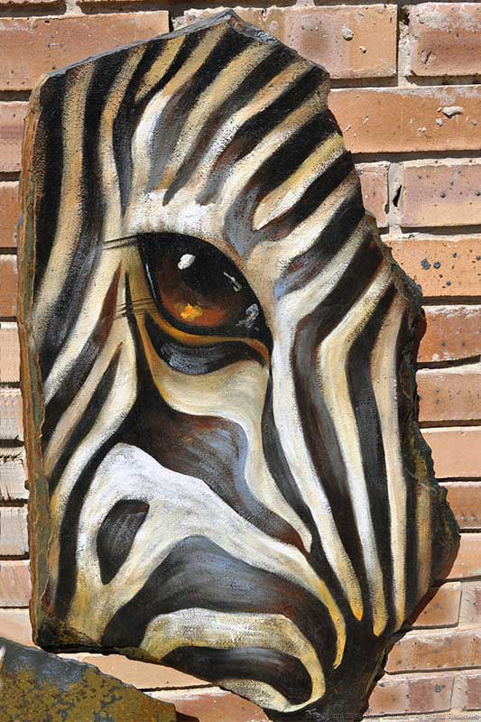 Abstract zebra eye