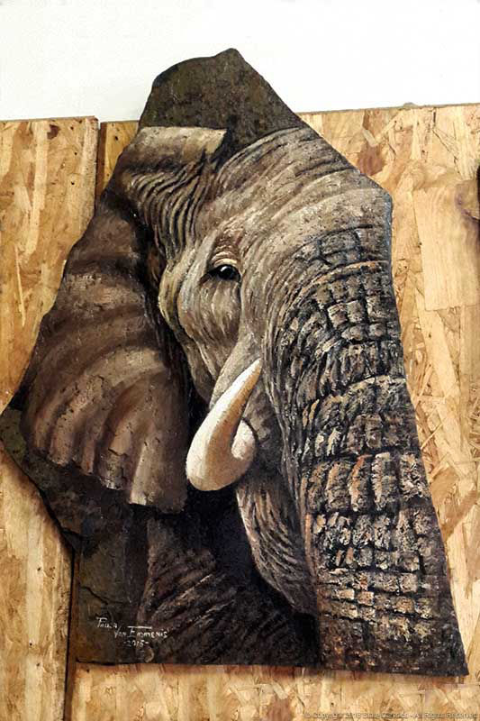 Abstract Elephant Eye by Paula