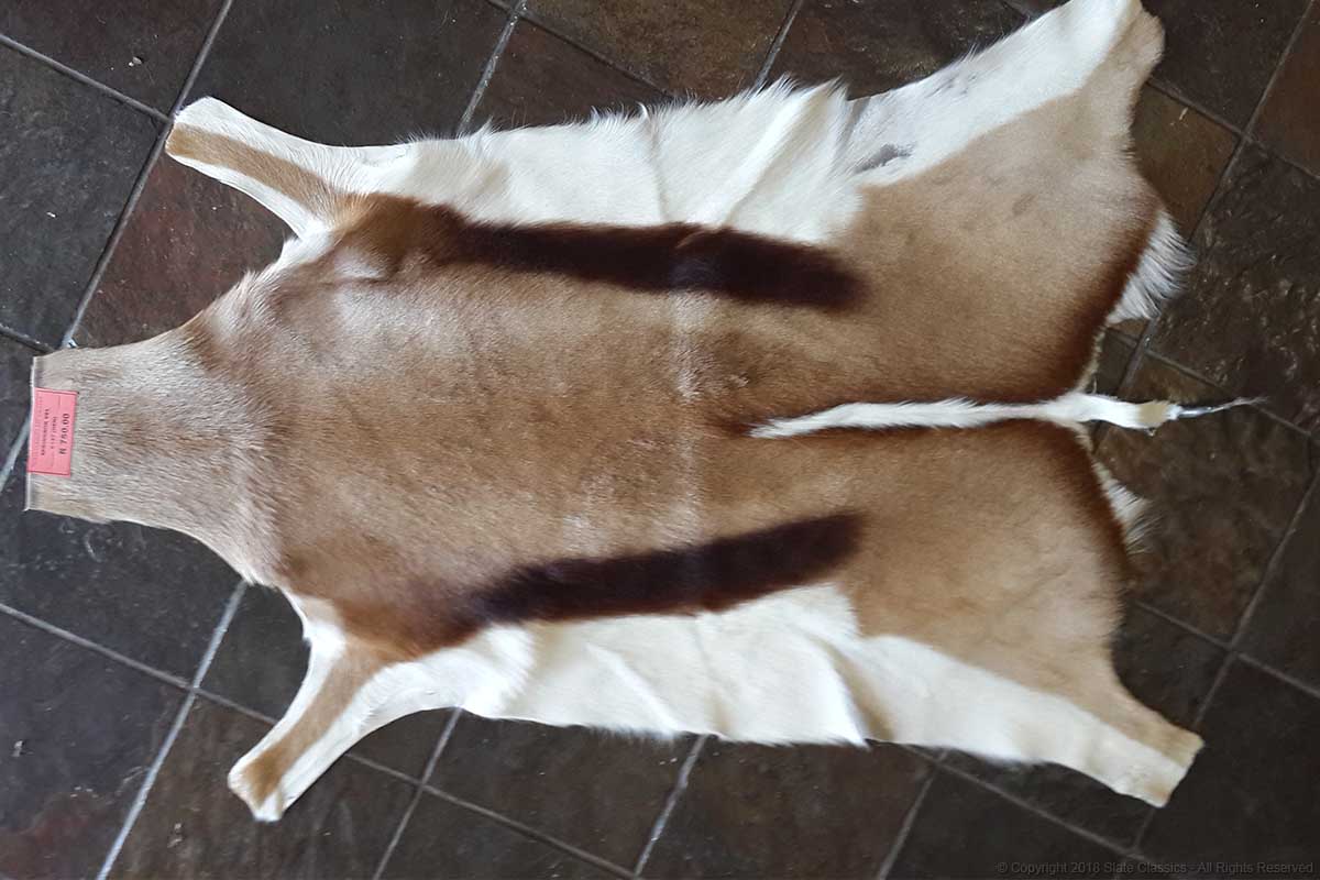 Buck skin